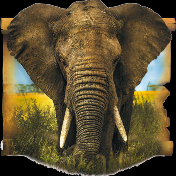 Elephant Thumbnail