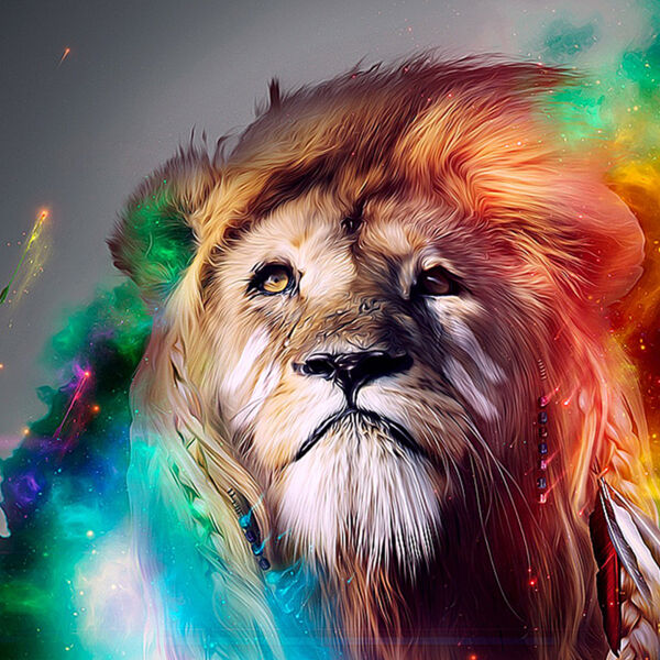 Colourful Lion Thumbnail