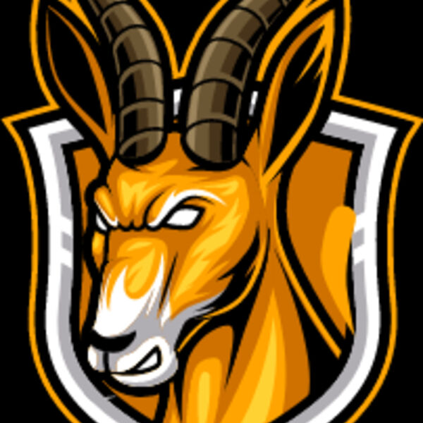 SAR Left Sleeve Thumbnail